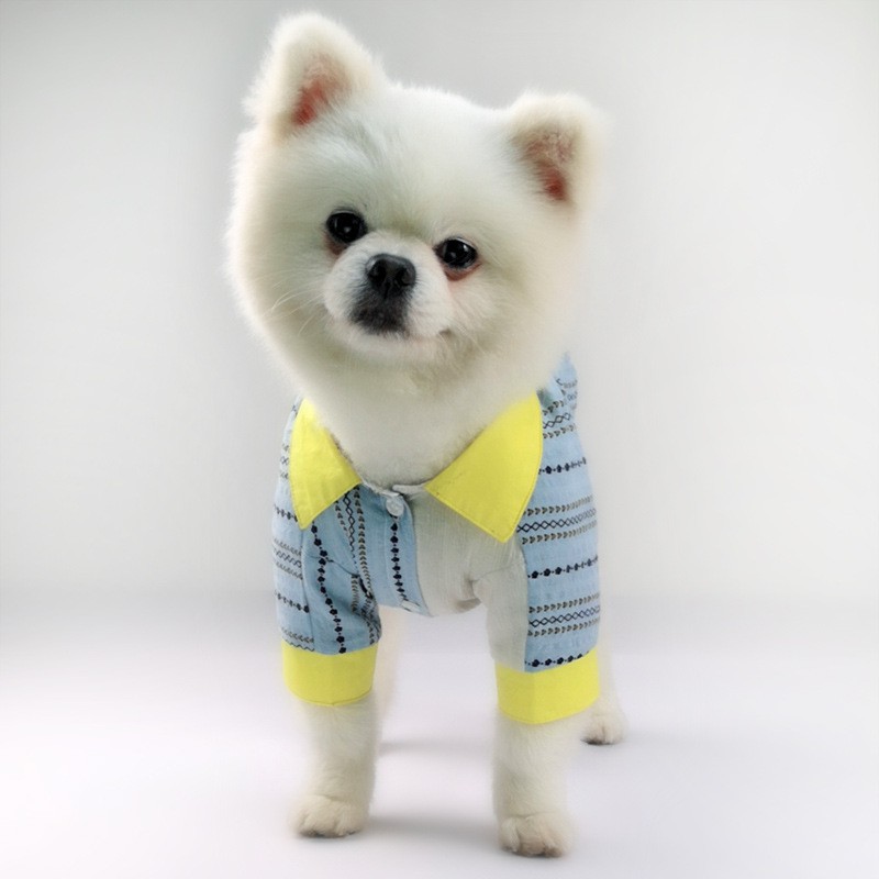 Fashion Tide Brand Law Fighting Pet Clothes